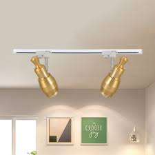 High Brightness Restaurant Track Lighting Aluminum 2 3 4 Lights Contemporary Ceiling Light In Gold Beautifulhalo Com