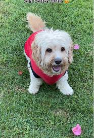 Eunice Chang (@eunifyy)