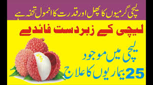 Leechi Khane Ke Fayde L Benefits Of Lychee Fruitl In Urdu Hindi Tips By Urdu Benefit Lychee