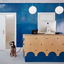 They allow you to bring your personal touch to the design and decor, but let's be real, they give us an excuse to shop! Vets Archives Dezeen