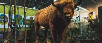 Jeg er draget til solskinsøen til naturvejledernes årskonference 2019. Naturbornholm Destination Bornholm