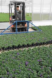Die firma pawlowski erfüllt ihre gartenträume!. Die Unternehmensstory Georg Hanka Gartenbau Kempen St Hubert Bausis Blog