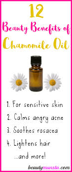 Peppermint essential oil can be a safe home remedy for improving hair growth. 12 Wonderful Beauty Benefits Of Chamomile Essential Oil Beautymunsta Free Natural Beauty Hacks And More