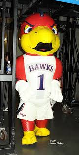 Harry the hawk and the hawks 6th man section do the harlem shake at an atlanta hawks game. Inflatable Counterpart Of Atlanta Hawks Mascot Harry The Hawk Atlanta Nba League Atlanta Hawks