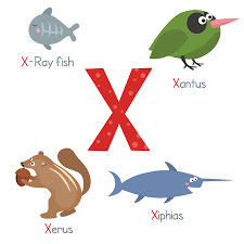 Learn the english alphabet with pictures of animals, food, insects, vehicles, fruits, vegetables and more! Nette Vektor Zoo Alphabet Lustige Comic Tiere Krahe Katze Kran Krokodil Lizenzfrei Nutzbare Svg Vektorgrafiken Clip Arts Illustrationen Image 63399962