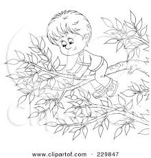 Your little one will enjoy letting their imagination run wild with this parrot coloring page. Coloring Page Outline Of A Boy On A Tree Branch Posters Art Prints By Interior Wall Decor 229847