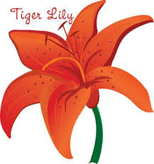Black And White Lily Clipart Free Orange Tiger Lily For Cake Decoration Tiger Lily Flower Clipart Free Flower Clipart