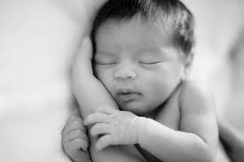 Danielle Sasson Photography