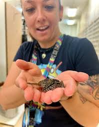 Billie Glass's Instagram, Twitter & Facebook