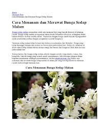 Selain untuk badan, wangi harum dari bunga sedap malam juga bisa dimanfaatkan sebagai pengharum ruangan lho, sahabat 99. Cara Merawat Bunga Sedap Malam Agar Tidak Layu Info Lif Co Id