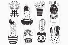 Learn how to draw four different cacti / succulents using watercolors and colored pencils. Hand Draw Cactuses Collections By Yenzarthaut Thehungryjpeg Com