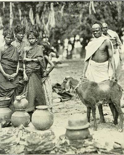 Fabulous cover story in the Mathrubhumi magazine tracing the early photographic documentation of the indigenous Malayali castes and tribes. Colonialism sparked an obsession with documenting and then stacking races based on superiority.