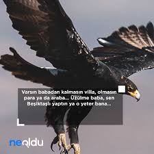 Beşiktaş'ın derbi kadrosu belli oldu. En Guzel Besiktas Sozleri Ve Marslari 2021 Besiktas Tezahuratlari