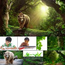 I Created This Personal Project After Watching The Movie The Jungle Book I Was So Amazed Photoshop Tutorial Manipulation Photoshop Images Photoshop Lightroom