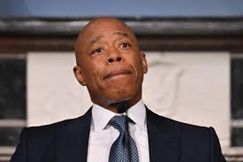 NYC burns pizzerias with new rule cutting smoky pollutants by 75%: 'You're  going after pizza?'