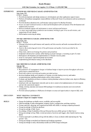 Sql Server Database Administrator Resume Samples Velvet Jobs