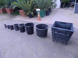 Plant Pot Sizes Container Plants Container Size Plants