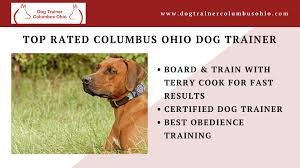 A Top Rated Columbus Ohio Dog Trainer Terry Cook Offers Various Board And Train Packages For All Dog Breeds Call Dog Trainer Obedience Training Dog Obedience