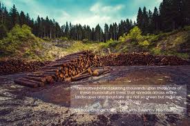 The case of the commune of lumaco, araucania. Planting Trees Not The Solution To Climate Change Climate Adaptation Platform