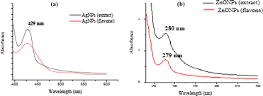 Image result for Helichrysum aureo-nitens