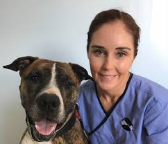 Professional Veterinarians in Willetton WA