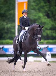 He and the stallion totilas, were triple gold medalists at the 2010 fei world equestrian games, becomi. Glock Horse Performance Center Treffen Am Ossiacher See Stadium Arena Sports Venue Equestrian Center Facebook