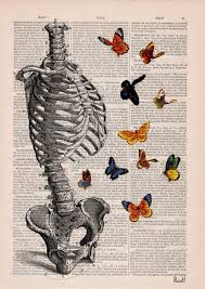 Christmas Gift Human Skeleton Torso Full Of Butterflies Etsy Anatomy Art Human Skeleton Art