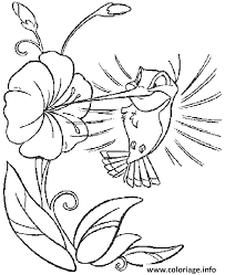 coloriage fleur et oiseau dessin a imprimer walt disney de renard