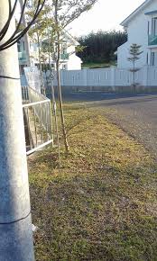 Mesin potong rumput, solusi perawatan rumput. Tender Potong Tepi Jalan Perkhidmatan Potong Rumput Facebook