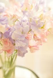 Check spelling or type a new query. Pastel Flowers Self Service