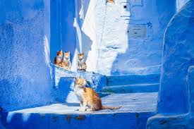 The Truth About Morocco S Blue City Chefchaouen Heart My Backpack Chefchaouen Blue City Morocco
