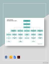 Large Hospital Organizational Chart Template Google Docs Word Apple Pages Pdf Template Net Organizational Chart Chart Organizational