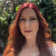 Sky Breaker: Tales of the Wanderer : Conley, Lee C, Green, David, Tinsley,  H L: Amazon.in: Books