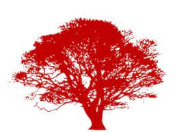 Gilbert Tree Service Home Facebook