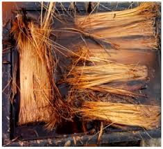Empty fruit bunch of oil palm tree. Agriengineering Free Full Text Potential Of Oil Palm Elaeisguineensis Empty Fruit Bunch Fibres Cement Composites For Building Applications