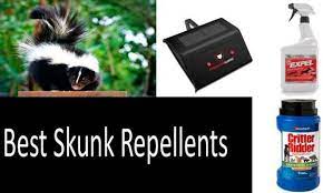 He filmed himself with an iphone app generating ultrasound at a. How To Pick A Skunk Repellent 4 Best Repellents To Keep Skunks Away