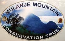 Image result for Alloeochaete namuliensis