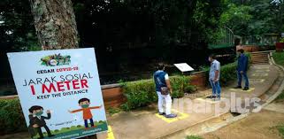 The pride of melaka with more than 500 animals from 150 different species! Gambar Tular Kes Covid 19 Di Zoo Melaka Palsu Sengaja Menakut Nakutkan Orang Ramai Sinar Plus