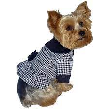 Dress Dog Coat Sewing Pattern 1679 Dog Jacket Patterns Pet Etsy Dog Coat Pattern Dog Coats Dog Jacket Patterns
