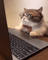 You should feel proud about even making it. Cat Wearing Glasses Gifs Get The Best Gif On Giphy