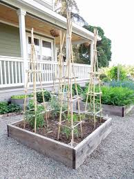 The wood framed trellis angles out from a raised garden bed, and the vines are trained to grow along strings that angle up with the frame. How To Make A Diy Tomato Trellis