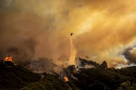 Palisades Fire in Los Angeles scorches ...