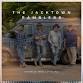 The JackTown Ramblers: The Town Tavern (Bluegrass.... event in Morganton, NC