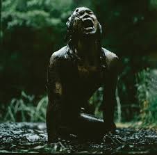 Bildergebnis für Joshua Serafin