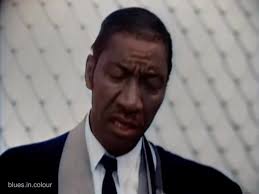 Hound Dog Taylor & Little Walter