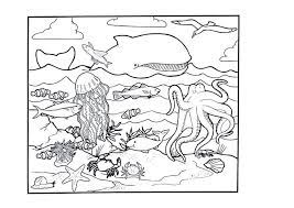 Parents may receive compensation when you click through and purchase from links contained on this website. Free Printable Ocean Coloring Pages For Kids Ocean Coloring Pages Animal Coloring Pages Fish Coloring Page