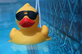 Many other terms exist for this technique, often involving different (usually) inanimate objects, or pets such. Rubber Duck Debugging The Psychology Of How It Works