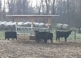Pin On Cattle Hay Feeders