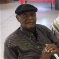 Mr. William T. "Boy" Trice Obituary