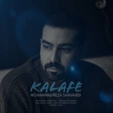 admin, نویسنده در میفا موزیک